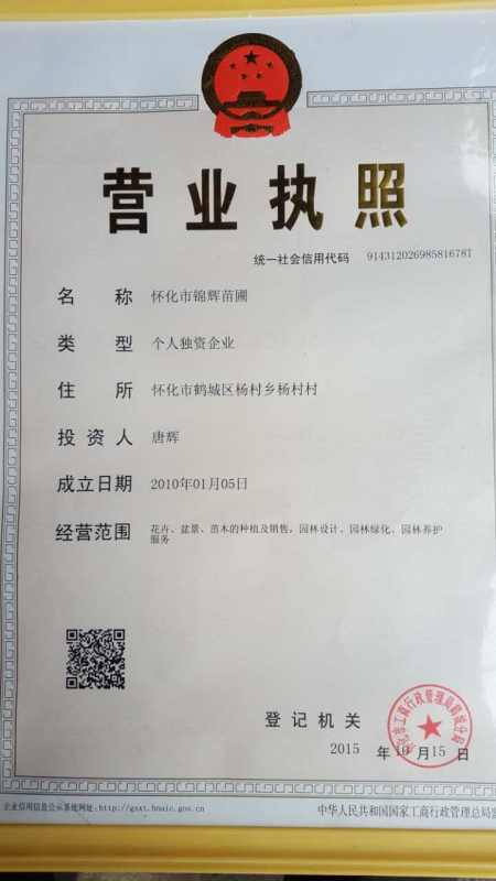 懷化市錦輝苗圃,精品盆景,造型景觀樹樁,綠化苗木,室內(nèi)盆花,綠化工程,園林設(shè)計(jì)